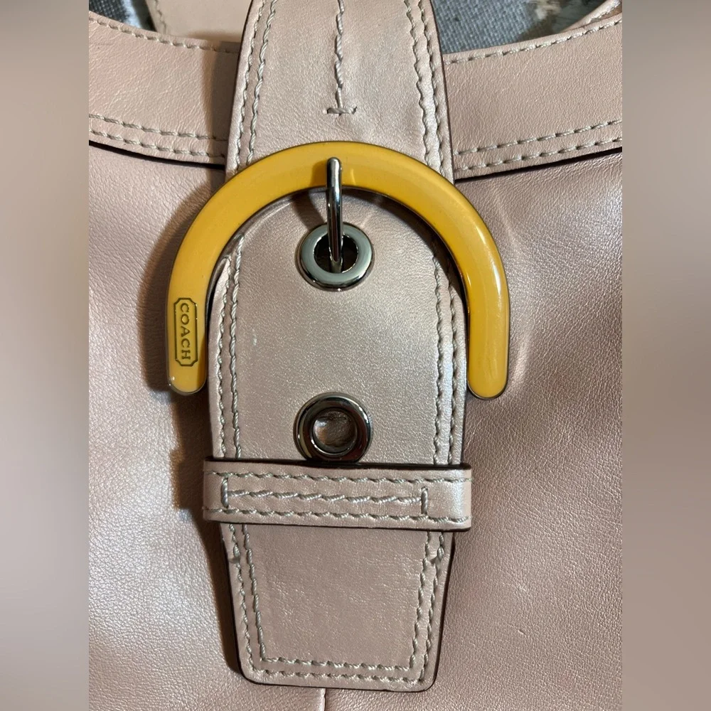 elegant coach